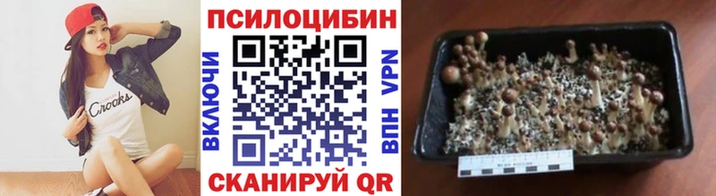 Псилоцибиновые грибы GOLDEN TEACHER хочу наркоту Оханск
